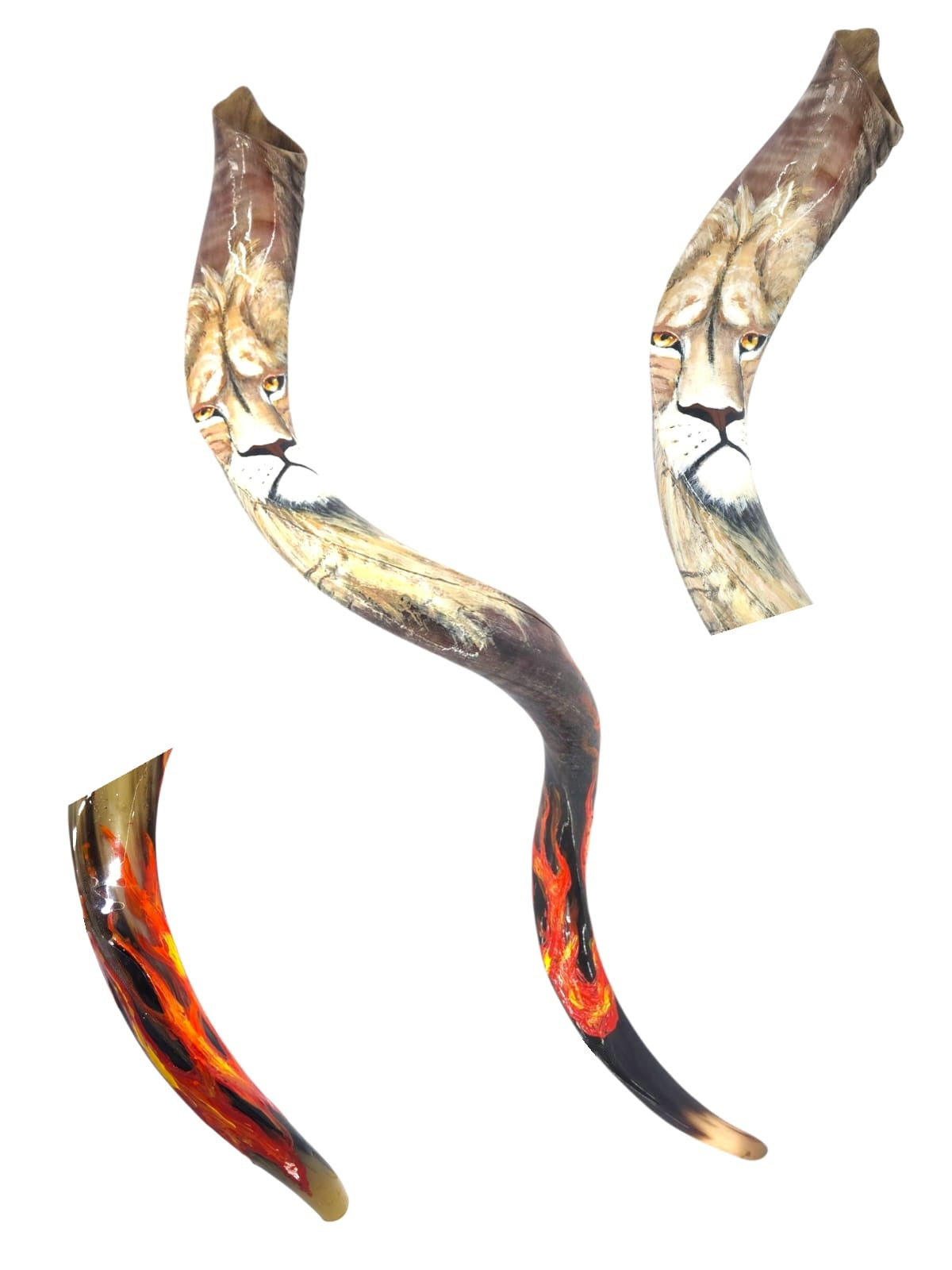 Hand-Painted Kudu Horn Shofar with Lion of Judah and Flames, 36-40 Inches