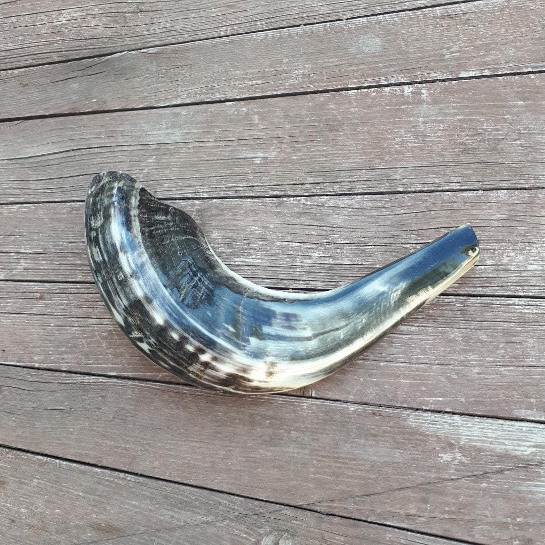 Jewish Shofar Ram Horn Beautiful Blowing Shofar Horn 12-14Inch / 30-35 Cm