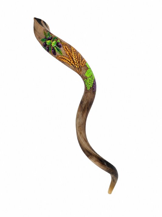 Hand Painted Yemenite Shofar with Seven Species Artwork – Authentic Kosher Shofar from Israel
