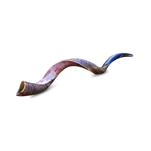 The Shofar: A Timeless Symbol of Jewish Spirituality