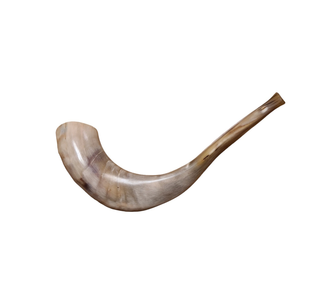 what is a kosher jewish shofar