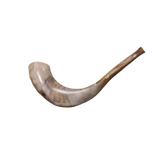 Yemenite vs. Ram’s Horn Shofar: Which One is Right for You?