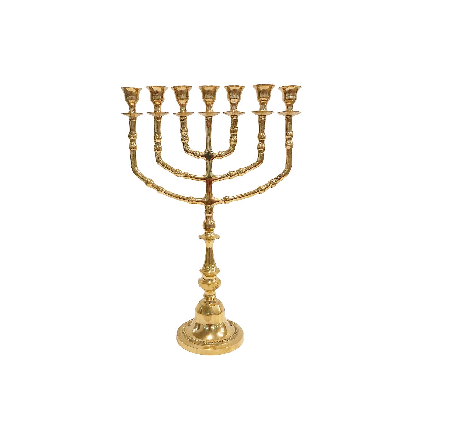 7 branch menorah