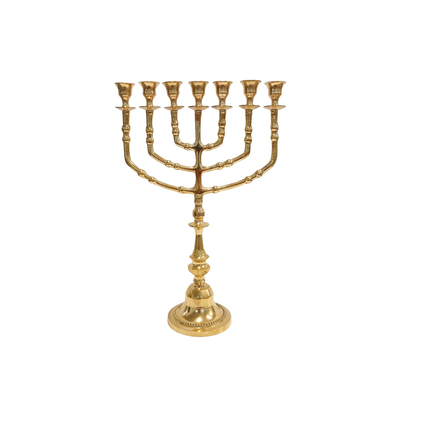 7 Branch Menorah's