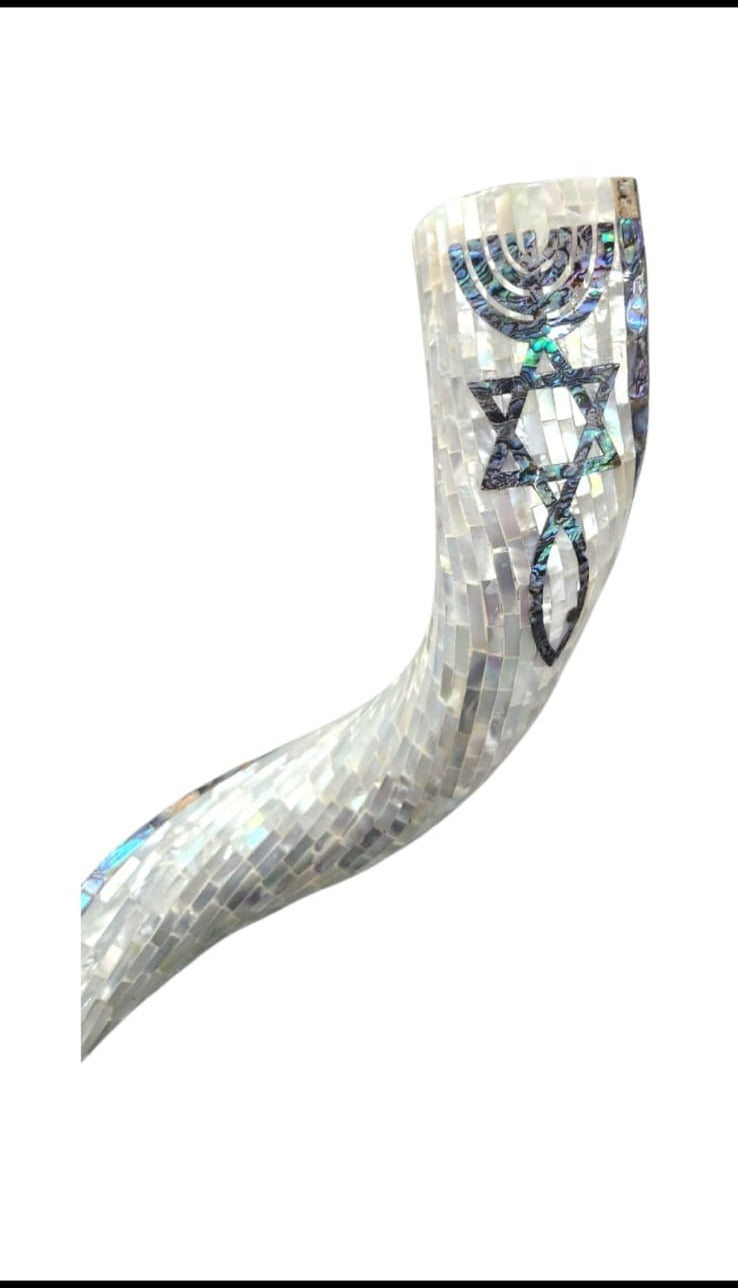 Mother of Pearl Coated Kudu Shofar with Grafted In Seal, 36-40 Inches
