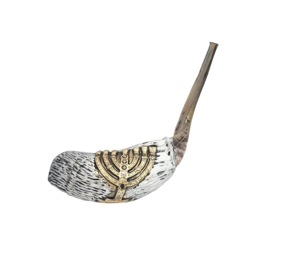 Ram's horn shofar with silver-tone textured finish and gold-tone menorah relief, side view