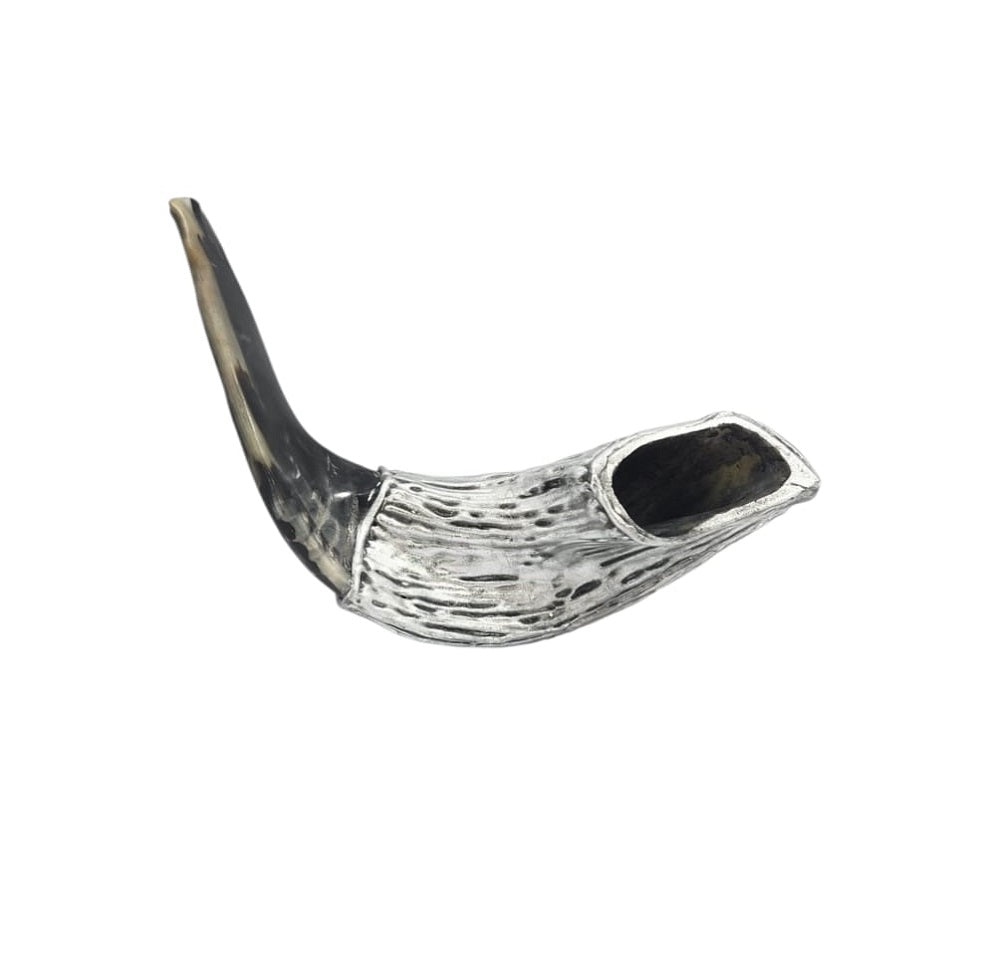 Ram's horn shofar with silver-tone finish, back view showing the horn opening