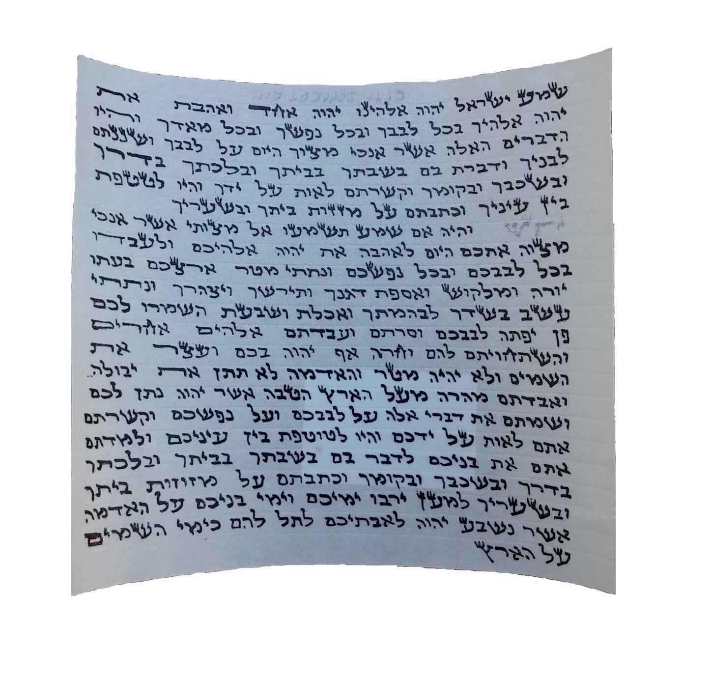 Mezuzah Scroll Klaf  10 Cm Kosher Parchment 3.9 Inch