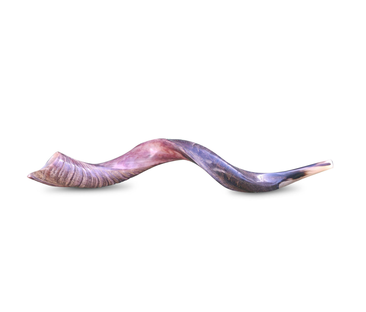 Jewish Shofar Kudu Horn 70-77Cm (28 Inch - 31 Inch)