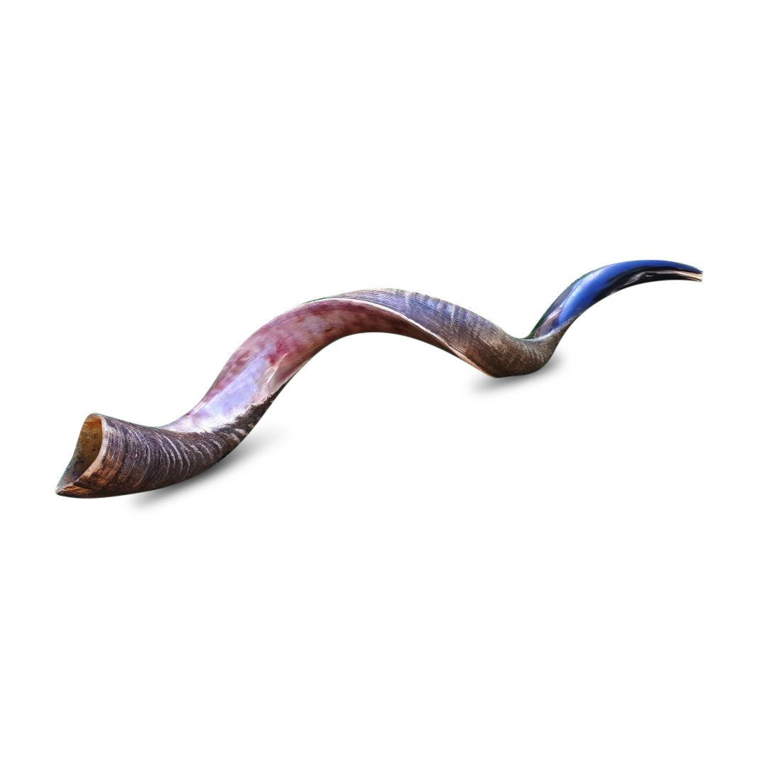 Jewish Shofar Kudu Horn 90-95 (Cm) (36 Inch - 38 Inch)