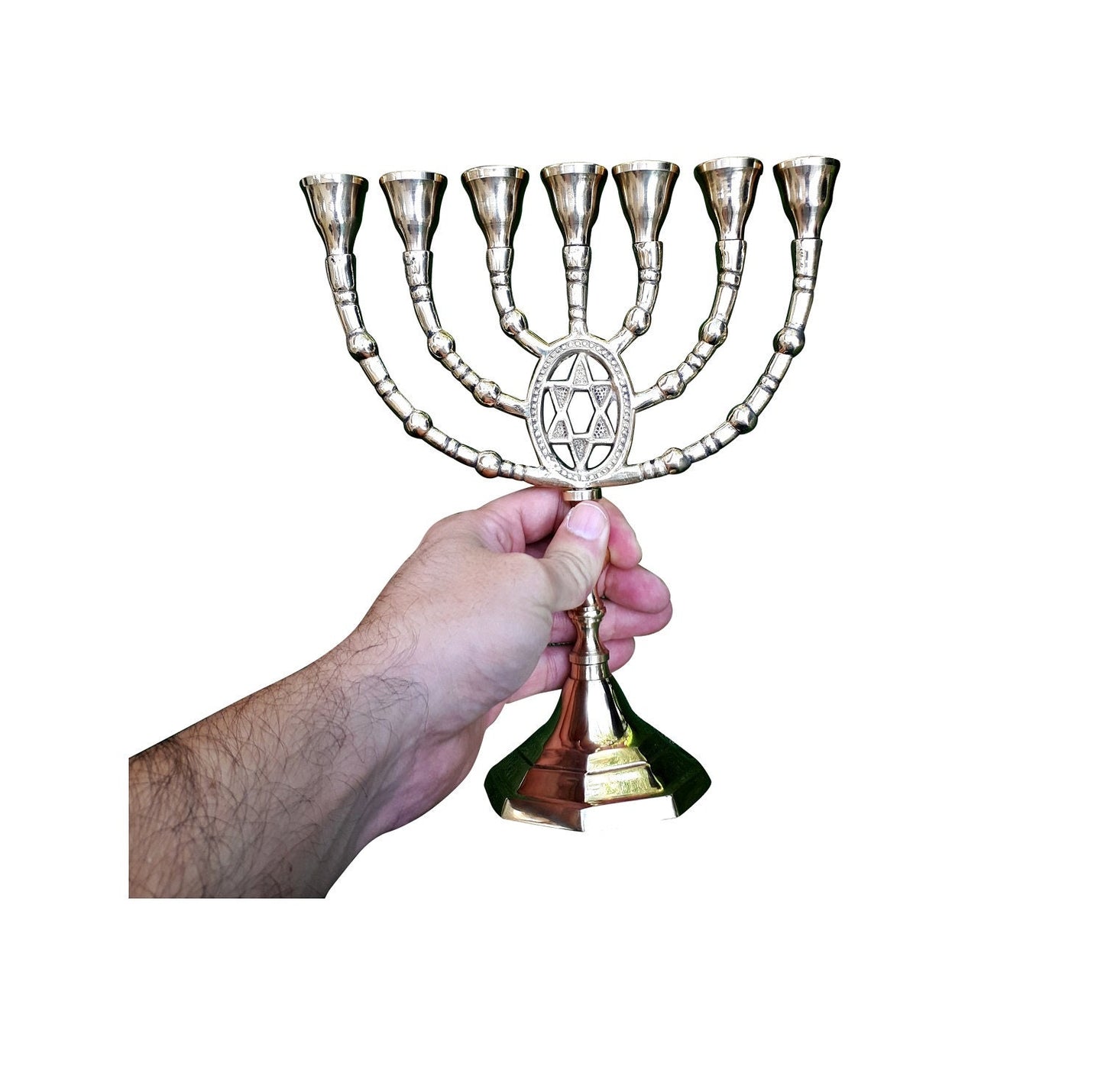 Seven Branches Menorah 9.5 Inches Height Brass/Copper With Star of David