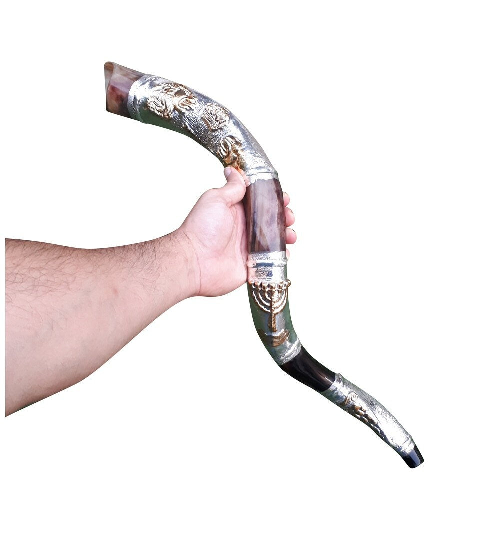 Yemenite Kudu Horn Shofar 28" -  32'' Silver coated Plates -AMAZING DESIGN