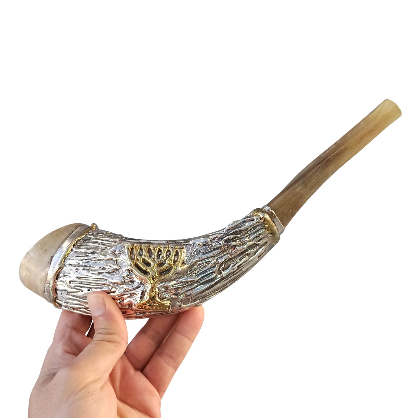 Jewish Shofar Ram Horn 12 -14 Inch Decorated With 7Branch Menorah Silver Plated comes With Velvet Bag