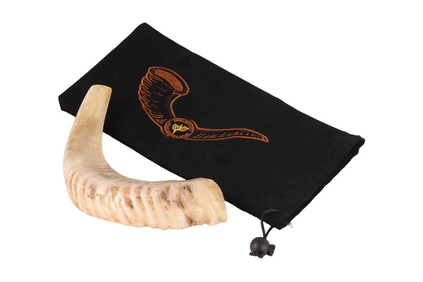 Amen Judaica Ram Horn Shofar From Jerusalem With Bag Great Sound