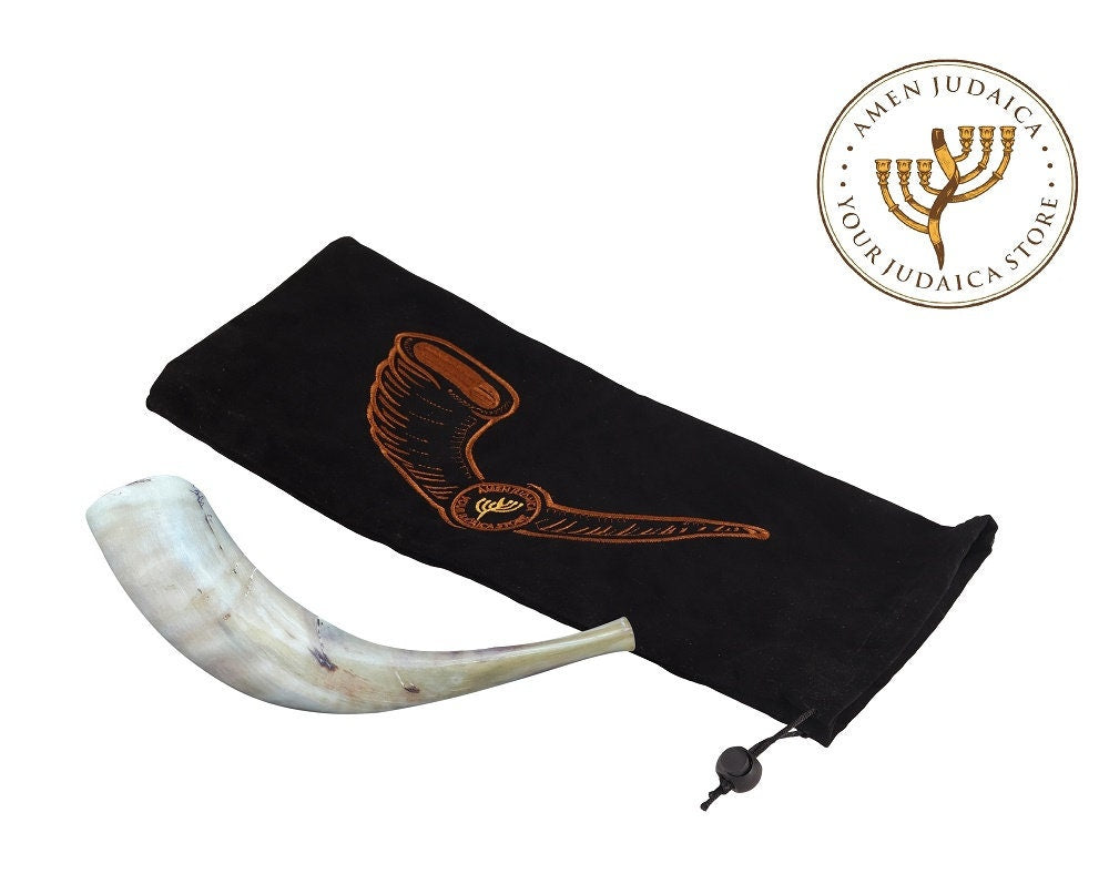 Amen Judaica Ram Horn Shofar  Full Polished  14"-16"  With Bag Great Sound