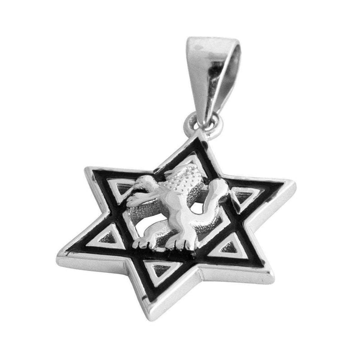 Star Of David Pendant With Lion Of Judah Sterling Silver with Enamel Plus Chain