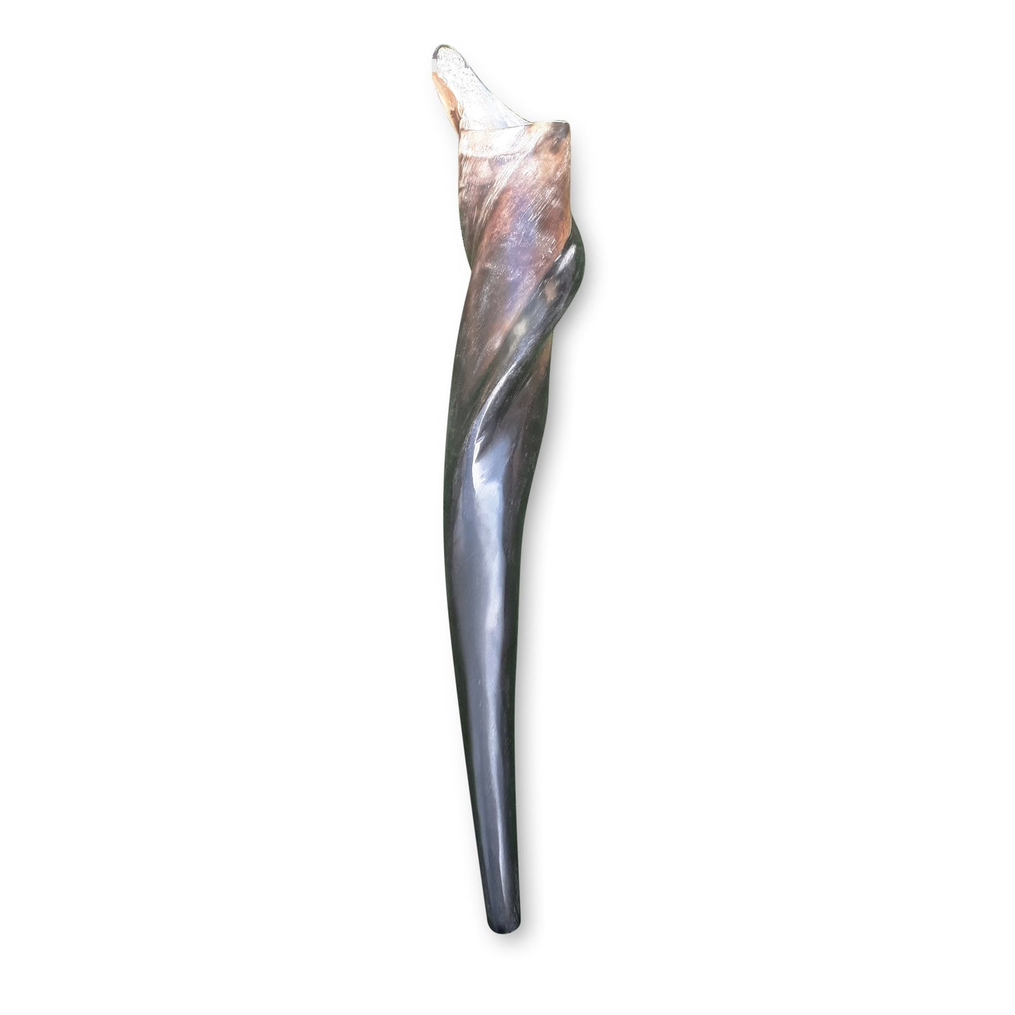 Eland Shofar Horn, 18-20 Inch