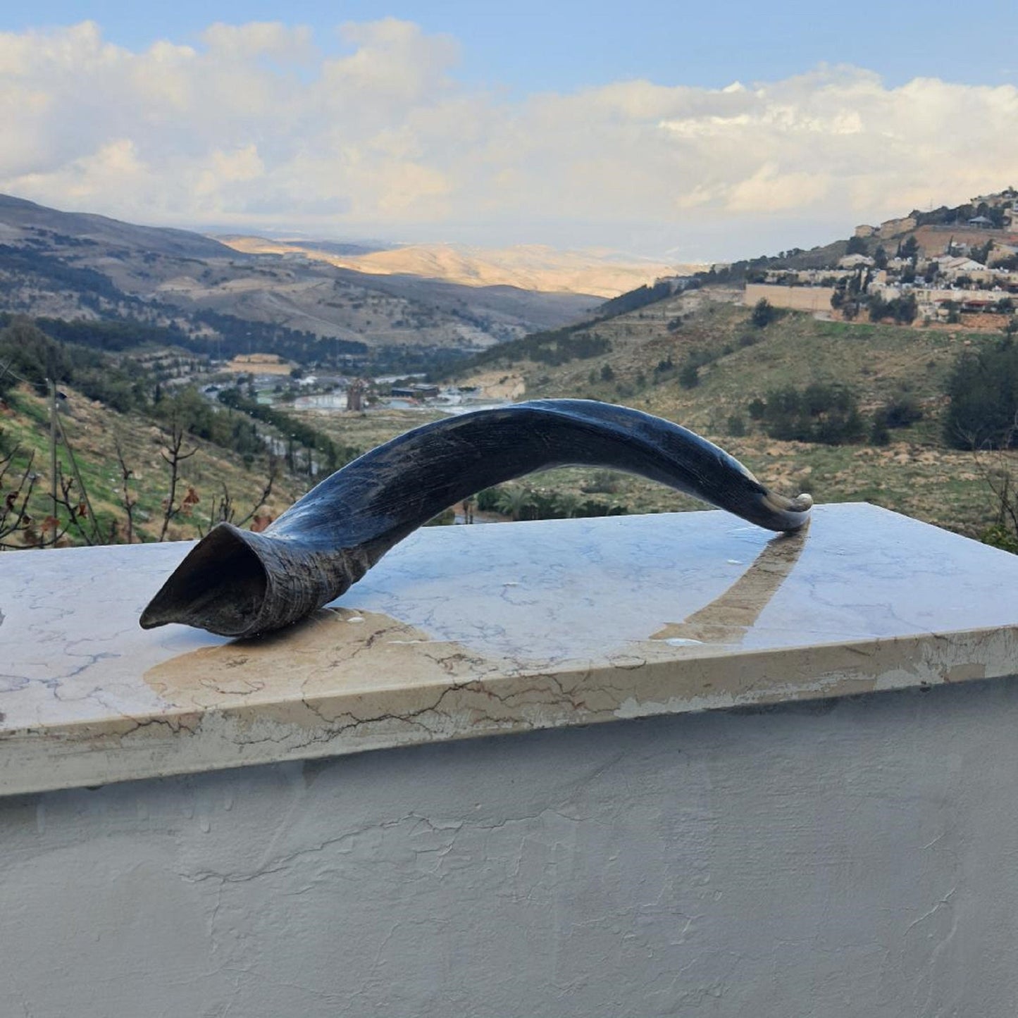 Natural Yemenite Jewish Shofar Kudu Horn 24 - 28 Inch (60-70 Cm) Made In Israel Wonderful Sound