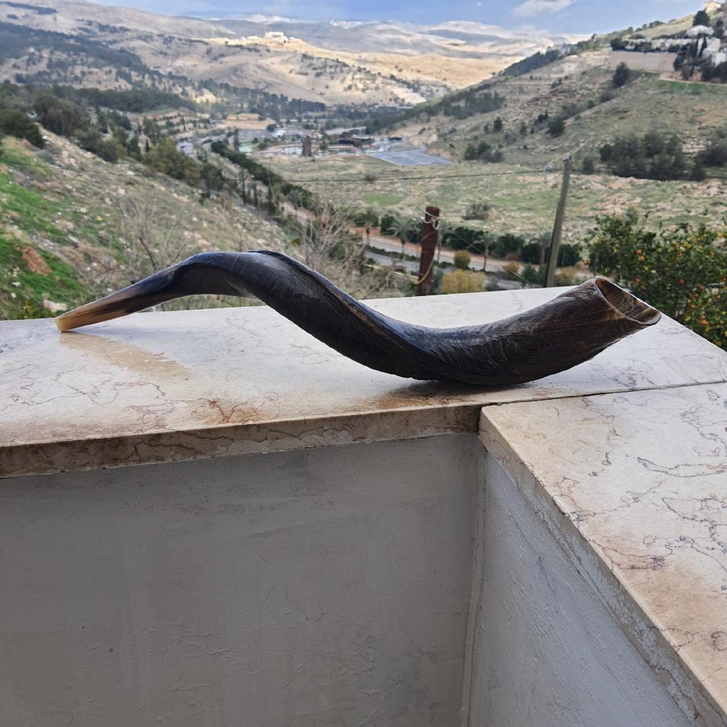 Natural Yemenite Jewish Shofar Kudu Horn 24- 28 Inch (60-70Cm), Made In Israel Wonderful Sound