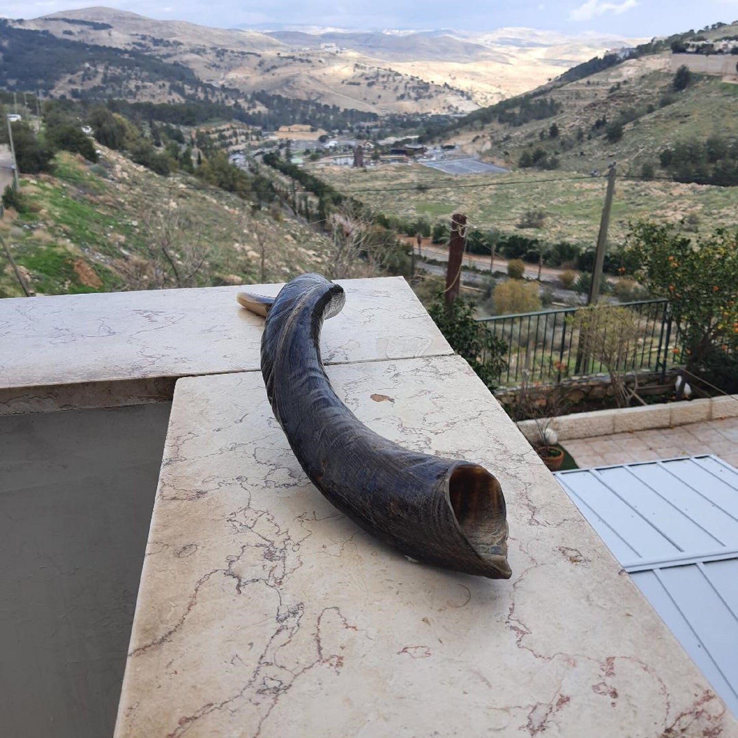 Natural Yemenite Jewish Shofar Kudu Horn 24- 28 Inch (60-70Cm), Made In Israel Wonderful Sound