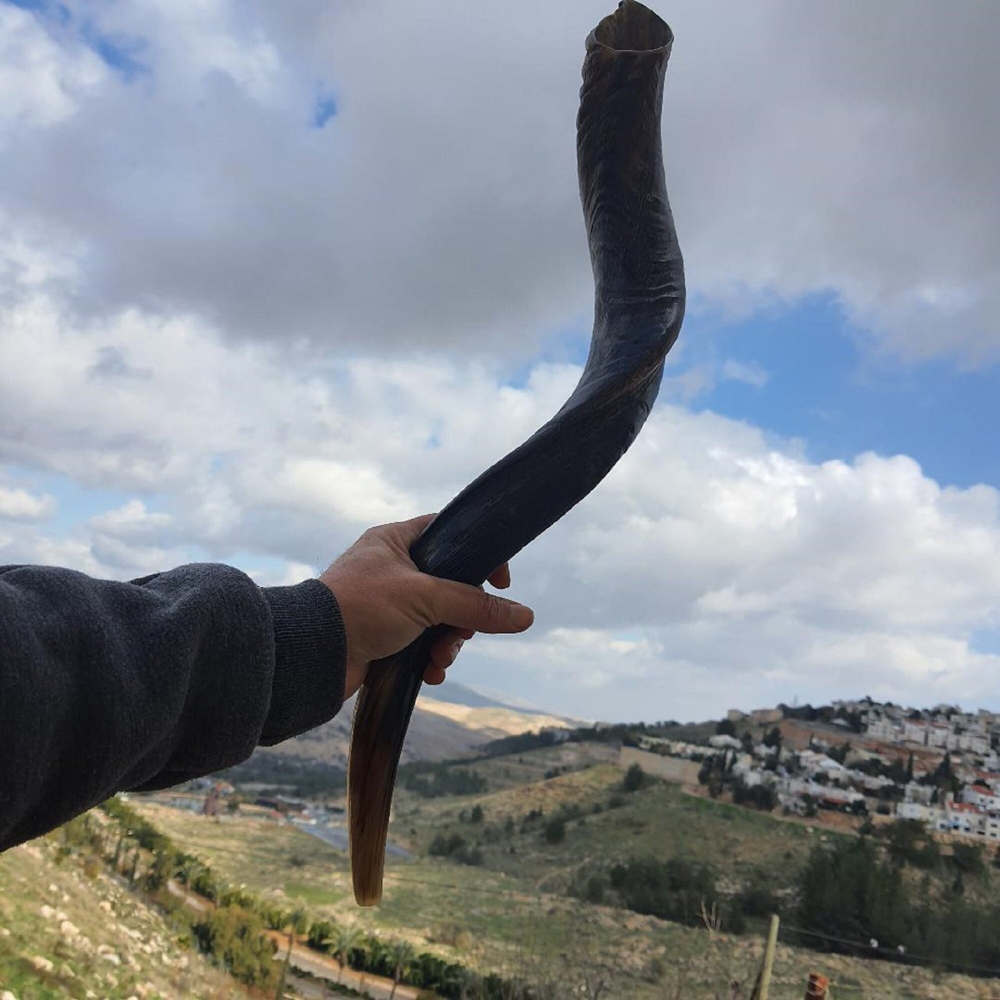 Natural Yemenite Jewish Shofar Kudu Horn 24- 28 Inch (60-70Cm), Made In Israel Wonderful Sound