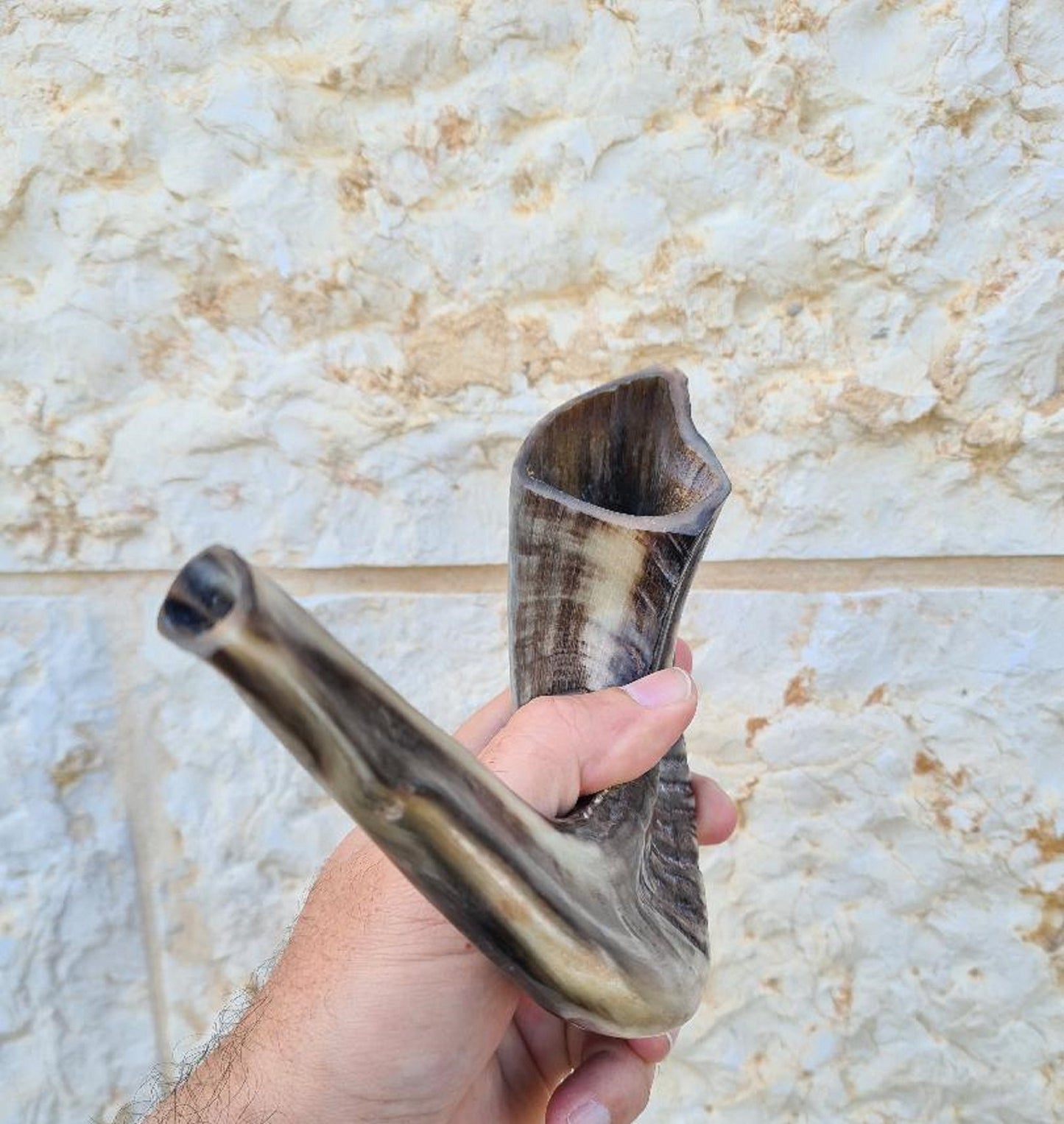 Beautiful Jewish Shofar Ram Horn Blowing Shofar Horn Trumpet 13.4 Inch / 34 Cm