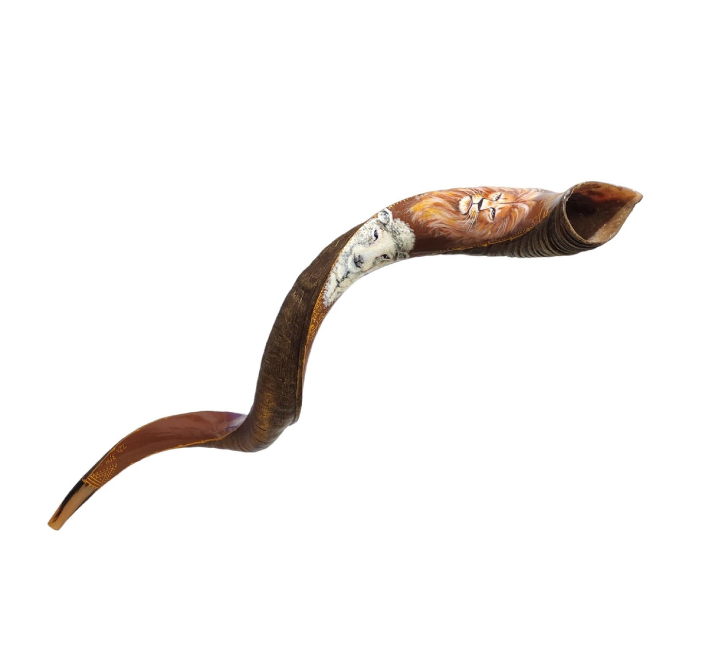 Yemenite Kudu Horn Shofar 38-40 Inch Lion Of Judah & Lamb Hand Painted Shofar  ** Amazing Piece Of Art **