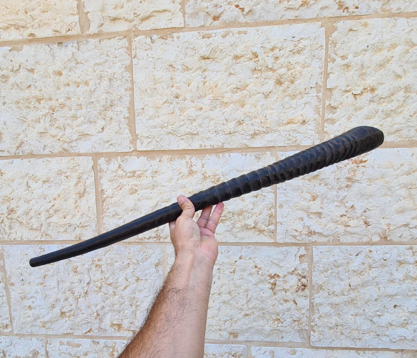 Gemsbok Oryx Shofar Horn Shofar 28" - 30'' Made in Israel