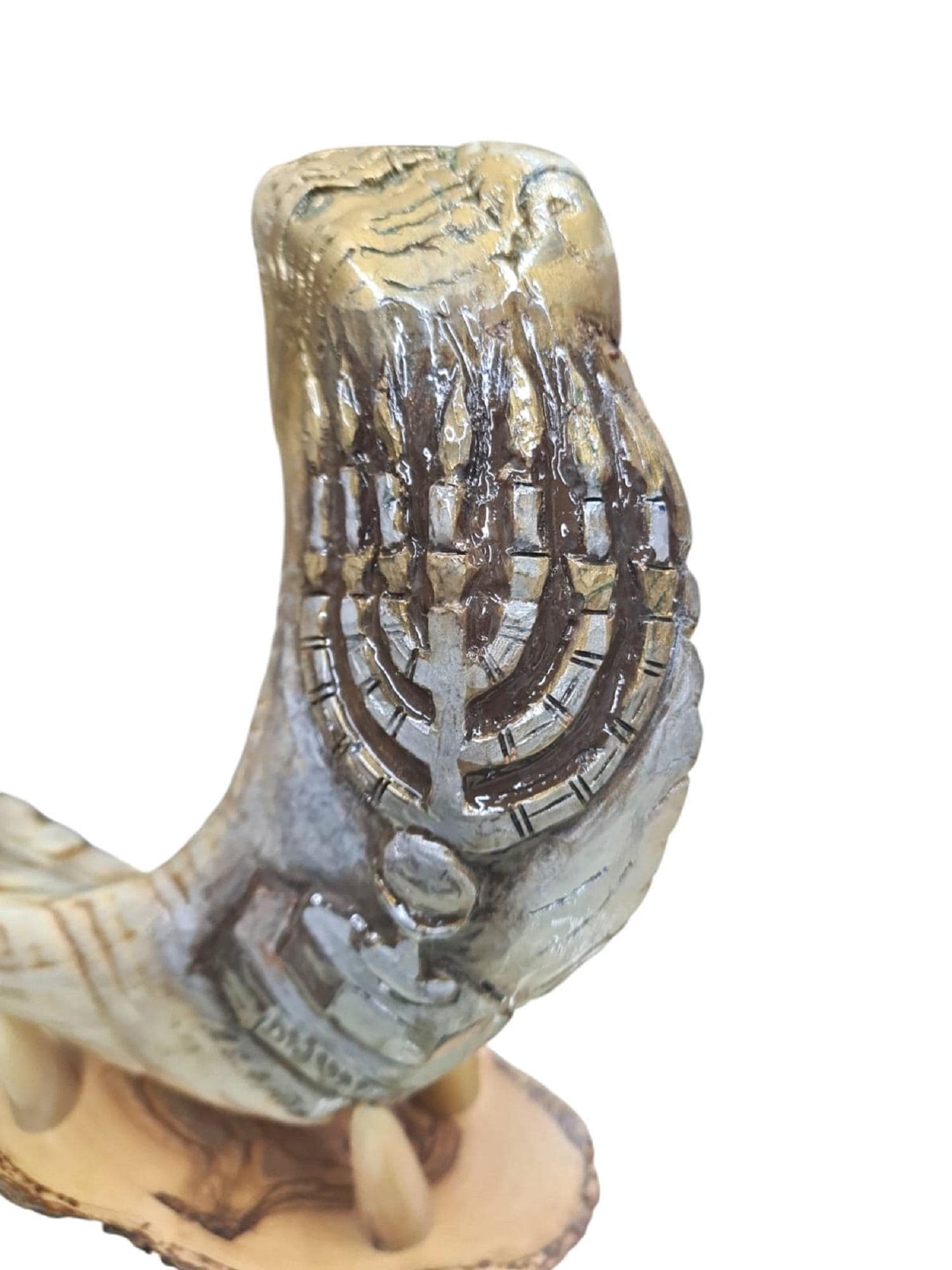 Amen Judaica Engraved Shofar With Menorah 18"-20" Ram Horn Shofar