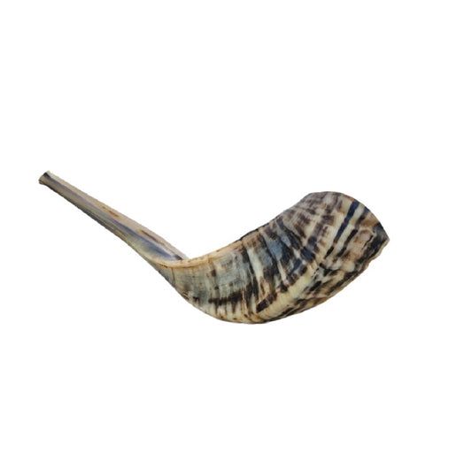 Jewish Blowing Shofar Ram Horn 12-14 Inch